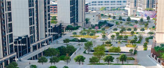 引爆深圳楼市4席城央硬资产圈定塔尖主场(图6)