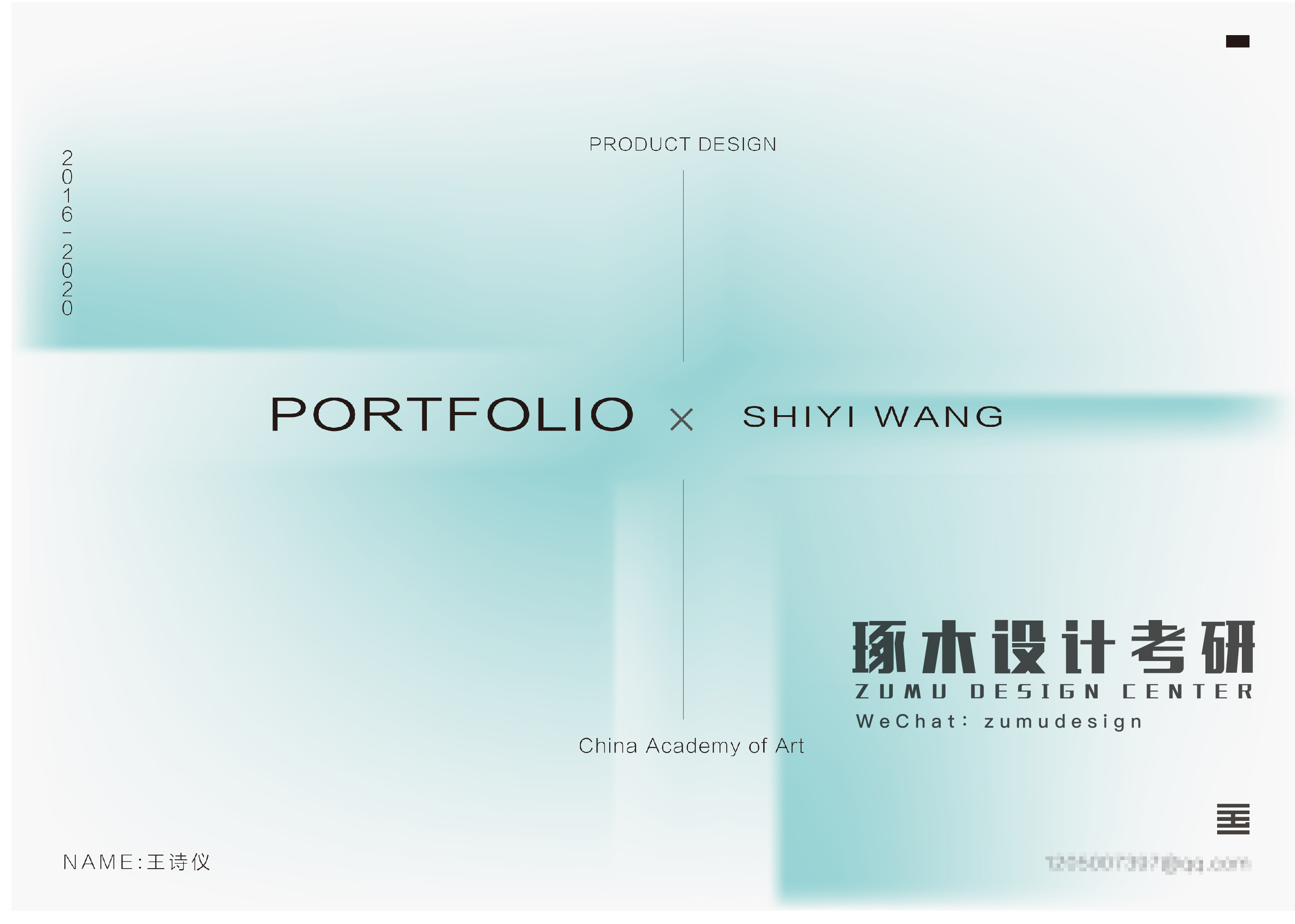 全景观察：解密龙头上市公司路演PPT如何征服投资者