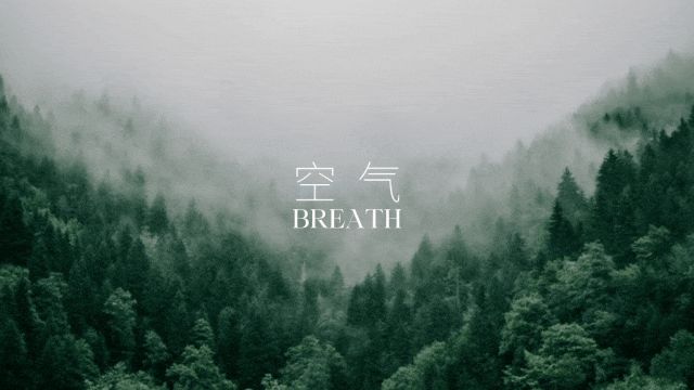 iHH国际健康人居设计节 2025年度章程正式发布以设计诠释健康人居新章(图3)